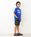 26-250511201-31-7g.jpg
