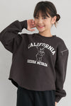 36-260611202-19-2g-COCSP.jpg